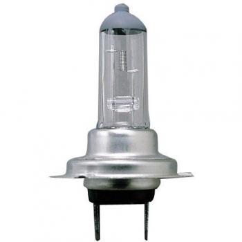 Sumex Ampoule de rechange pour TES1307 (H7, 12V, 55W, 3300K, Px26D)