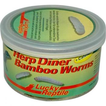Lucky Reptile Bambuswürmer mit Calcium 35 g