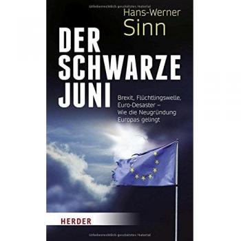 Sinn, Hans-Werner: Der Schwarze Juni