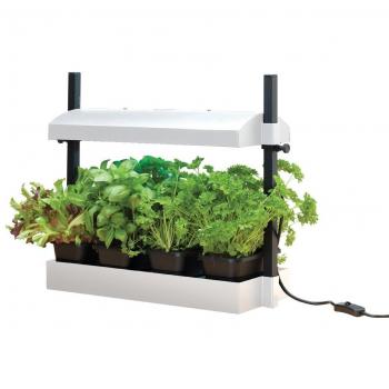 Garland G187W White Self Watering Herbs Plants