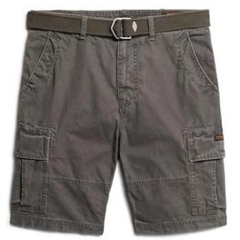 Superdry Heavy Cargo Shorts grau