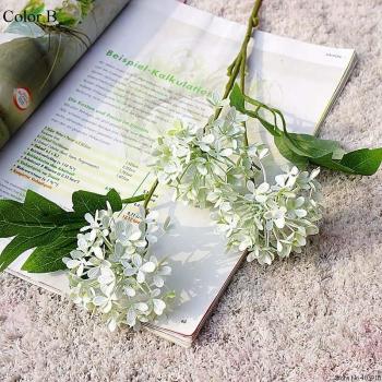 Floraison Islandaise – Photographie et Décor