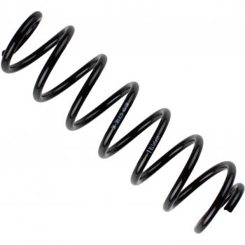 Bilstein Feder Hinterachse 36-301829