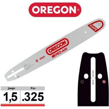 Oregon 50 cm Schwert für Kettensägen
