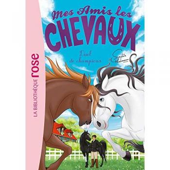 Mes amis les chevaux 32
