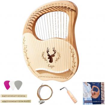Instrumento de Cuerda Lira 19 Cuerdas con Llave