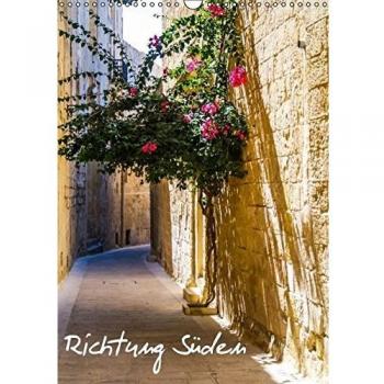 Richtung Süden/Geburtstagskalender (Wandkalender immerwährend DIN A3 hoch)