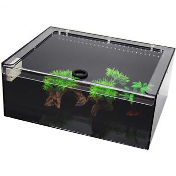 Transparent Front Geckos Lizard Feeding Box