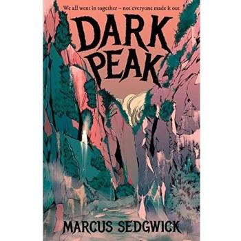 Rollercoasters: dark peak (Tapa blanda).