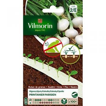 Semences d'oignon Printanier Parisien Vilmorin – Cultivation en installation