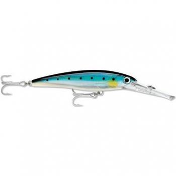 Rapala X-Rap Saltwater Magnum 40 Blue Sardine