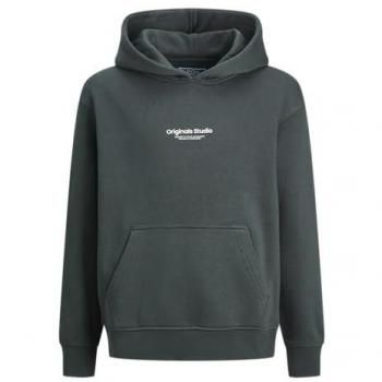 Jack & Jones Junior Sweatshirt JORVESTERBRO SWEAT HOOD JNR