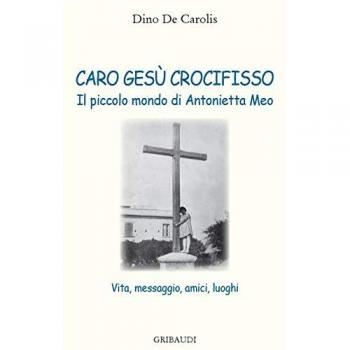 Caro Gesù crocifisso. Il piccolo mondo di Antonietta Meo. Vita, messaggio, amici, luoghi