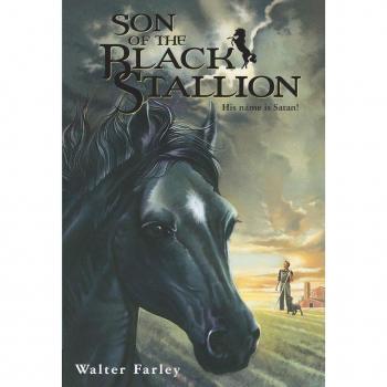 Son of the Black Stallion