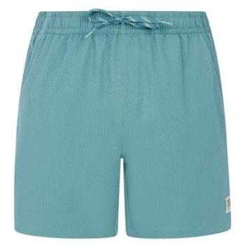 Protest Wytona 2XL Swim Shorts in Arctic Green
