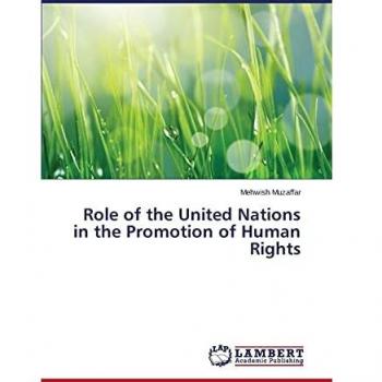 Role of the United Nations in the Promotion of Human Rights