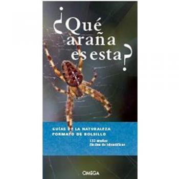 ¿QUE ARAÑA ES ESTA?