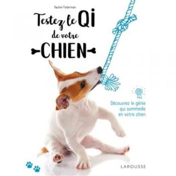 Testez le QI de votre chien : Découvrez le génie qui sommeille en votre chien !