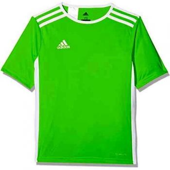 Adidas Maillot Homme Entrada 18, Vert Solaire/Blanc, M
