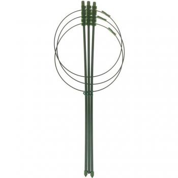 Vine Climbing Support Frame