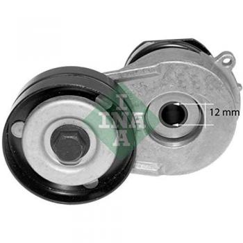 Tenditore cinghia INA 534 0321 10