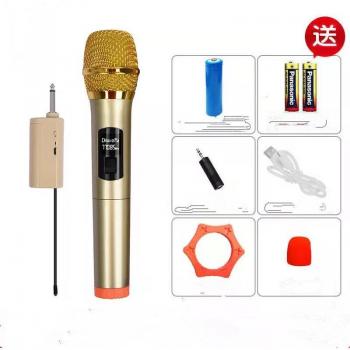 KaraokeMaster 500