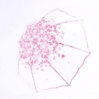 Women's Sakura Floral Transparent Umbrellas – 2 Piece Set