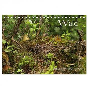 Wald Monatskalender 2025 DIN A5 quer