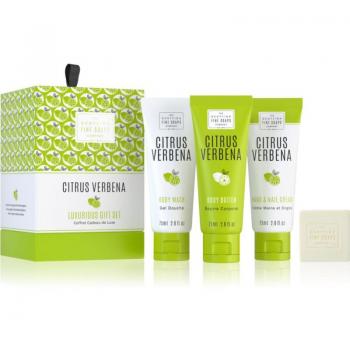 Verbena Bliss Luxury Gift Set