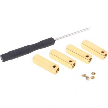 Aglets en Métal pour Baskets avec Tournevis