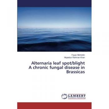Alternaria leaf spot/blight A chronic fungal disease in Brassicas