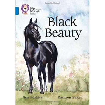 Black Beauty by Sue Purkiss Paperback Book