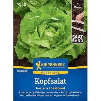 Kiepenkerl Saatband für Kopfsalat Analena