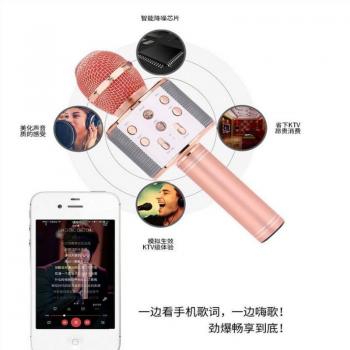 Microphone karaoké Bluetooth avec haut-parleur et lumières LED dansantes