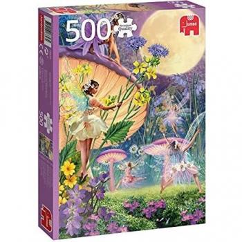 Puzzle 500 pièces