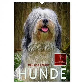Hunde