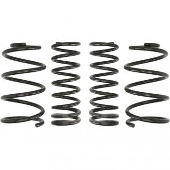 Suspensão Molas EIBACH E10-35-014-02-22 Kit
