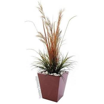 Cornice Lucida Rosso Leichtsin 50