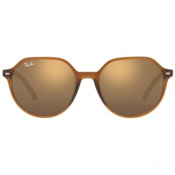 Men's RB2195 Thalia Brown Sunglass Set