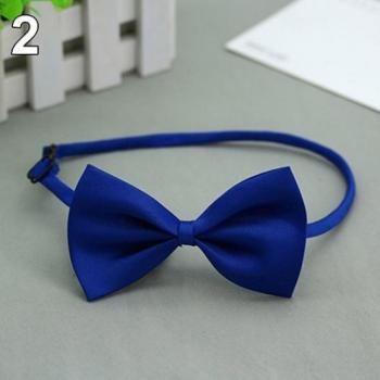 Bowknot Cat Collar