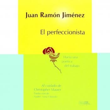 El perfeccionista: Hacia una poética del trabajo (Tapa blanda).