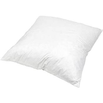 Grizz'LIT Oreiller Plumes de Canard – 80 × 80 cm, France