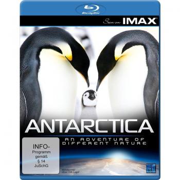 Antarctique