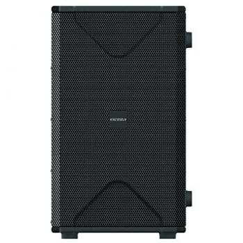 Définitif Audio 110SA – Subwoofer actif 250 W