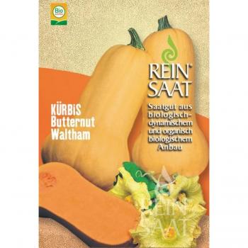 Zucca Waltham Butternut ReinSaat