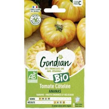 Gondian