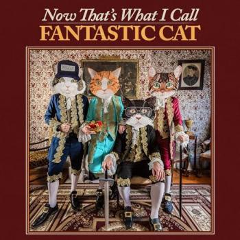 Fantastique Chat : Le vrai, le meilleur (Vinyle LP)