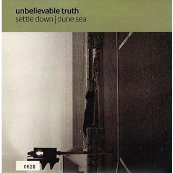 Settle down [VINYL]