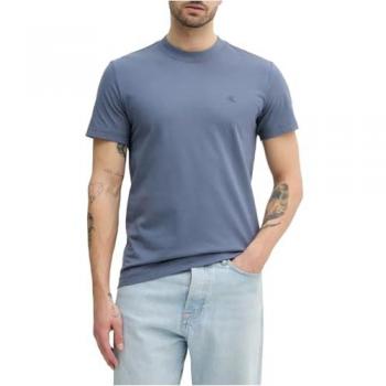 Calvin Klein Blue Regular Fit T-Shirt