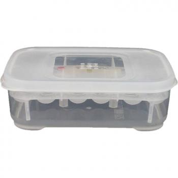 Lizard and Gecko Egg Incubation Tray